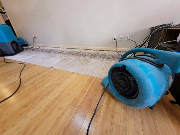 Professional Water Damage Repair technician working in Alexandria, MN